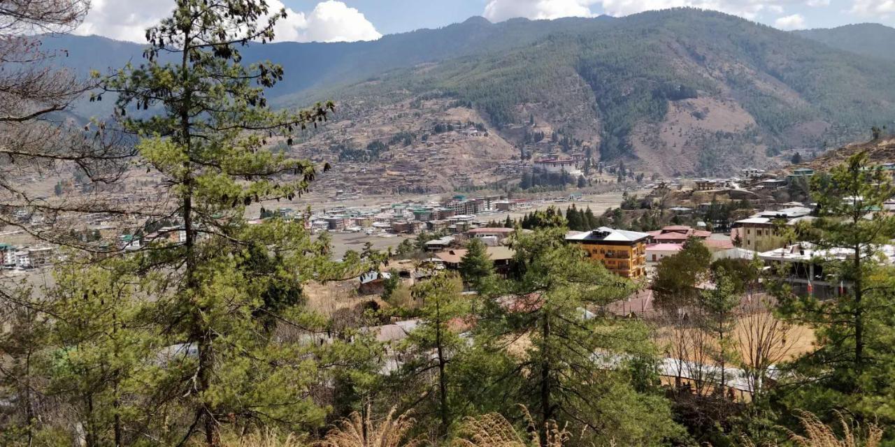 Dzi Pema Hotel Paro Exterior photo